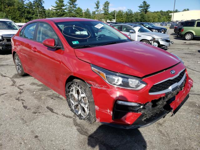 KIA FORTE FE 2019 3kpf24ad1ke059887