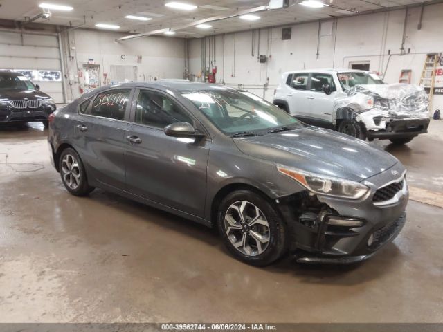 KIA FORTE 2019 3kpf24ad1ke061042