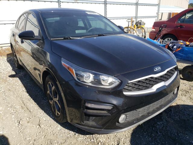 KIA FORTE FE 2019 3kpf24ad1ke064832