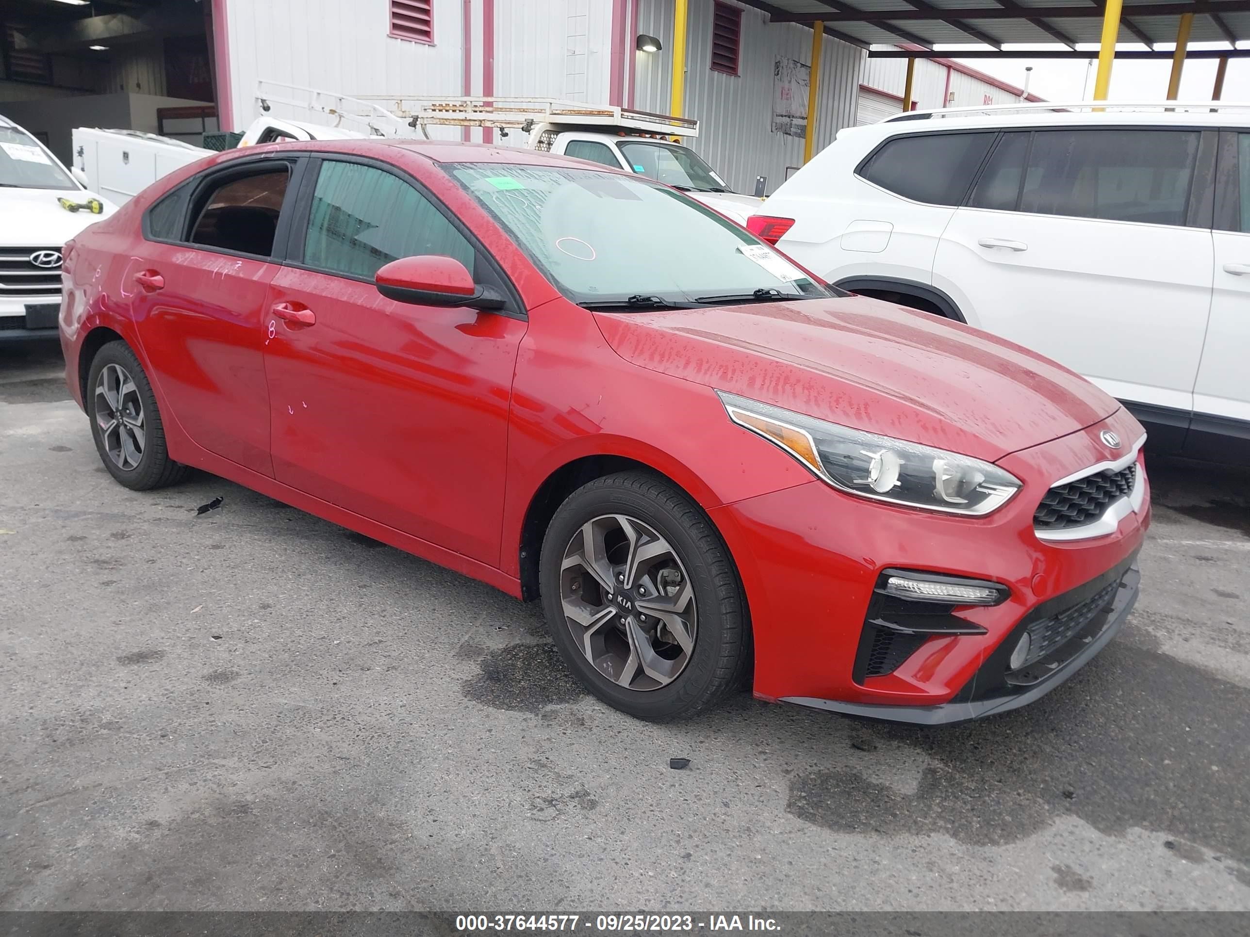 KIA FORTE 2019 3kpf24ad1ke065687