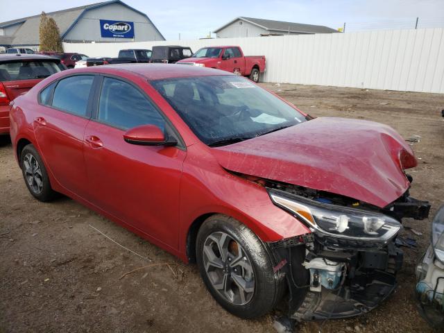 KIA FORTE FE 2019 3kpf24ad1ke080318