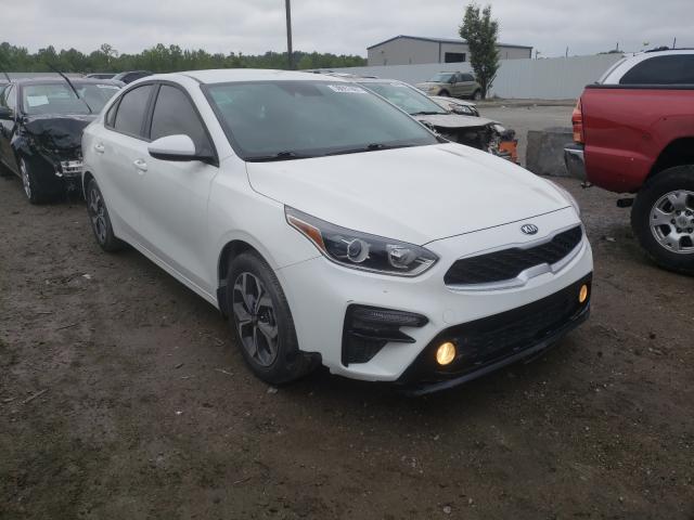 KIA FORTE FE 2019 3kpf24ad1ke082313