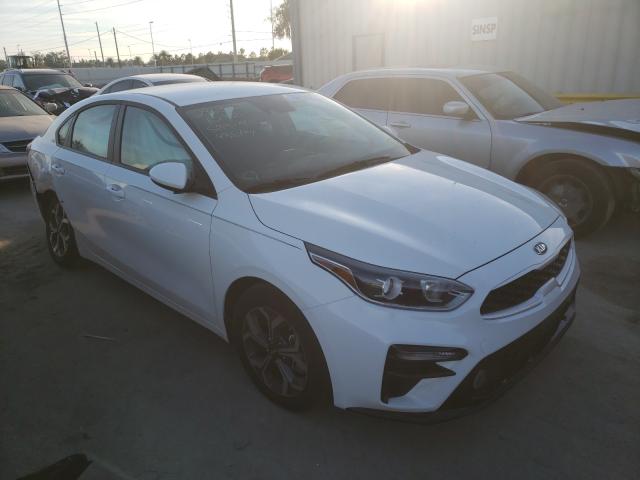 KIA FORTE FE 2019 3kpf24ad1ke082988