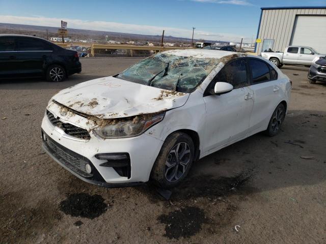 KIA FORTE FE 2019 3kpf24ad1ke093201