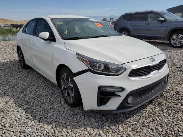 KIA FORTE FE 2019 3kpf24ad1ke094686