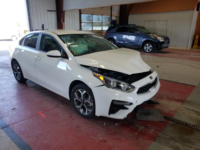 KIA FORTE FE 2019 3kpf24ad1ke095661