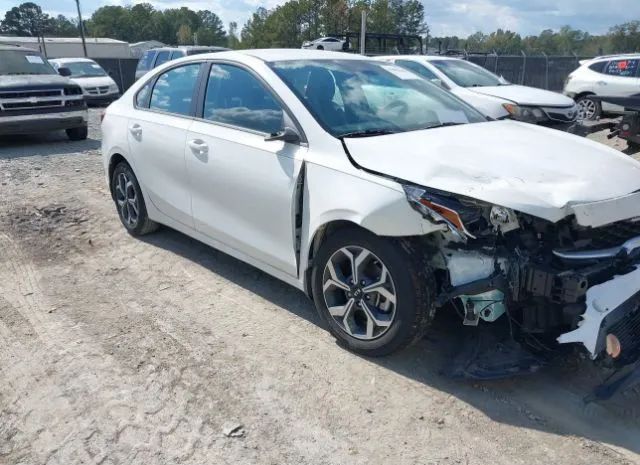 KIA FORTE 2019 3kpf24ad1ke096325