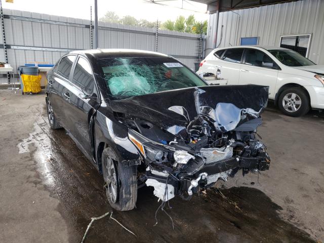 KIA FORTE FE 2019 3kpf24ad1ke097118