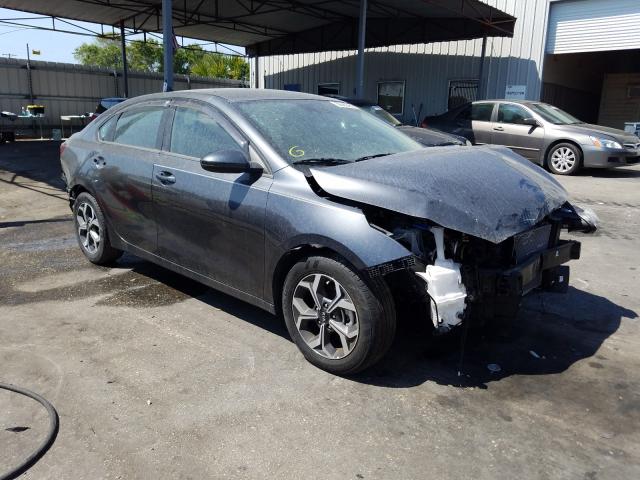 KIA FORTE FE 2019 3kpf24ad1ke098415