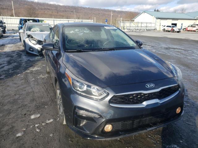 KIA FORTE FE 2019 3kpf24ad1ke098995