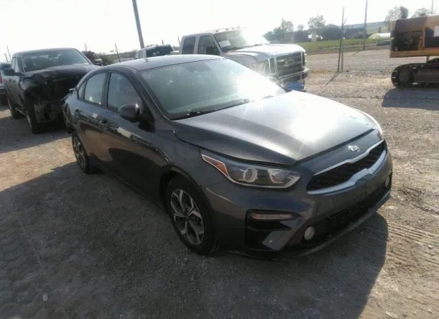 KIA FORTE 2019 3kpf24ad1ke103581