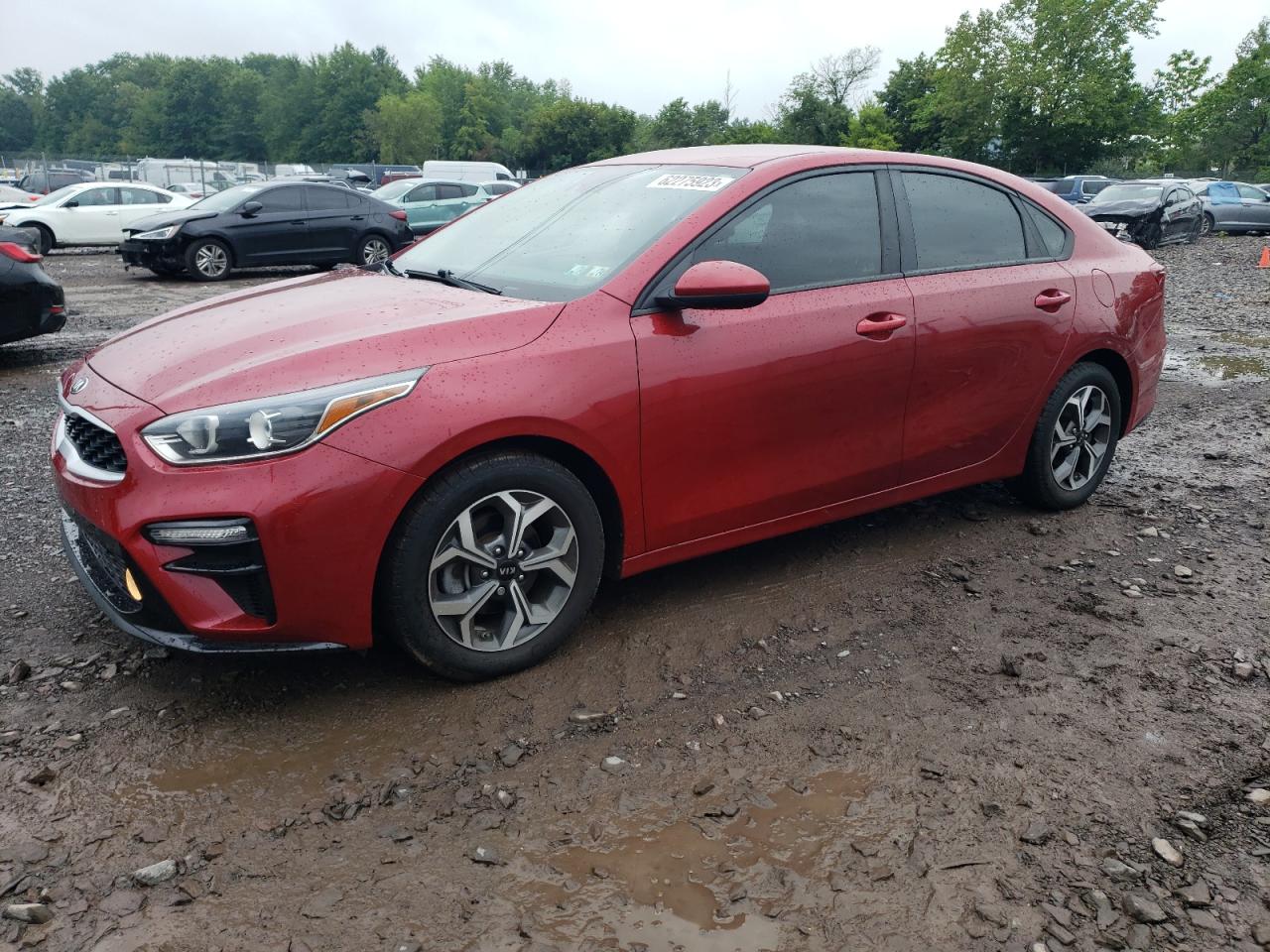 KIA FORTE 2019 3kpf24ad1ke104164