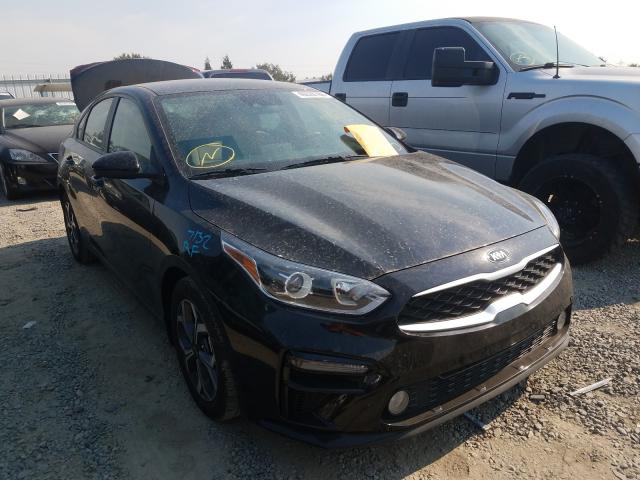 KIA FORTE FE 2019 3kpf24ad1ke104861