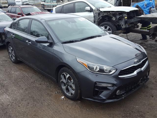 KIA FORTE FE 2019 3kpf24ad1ke111860