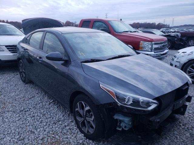 KIA FORTE FE 2019 3kpf24ad1ke115648