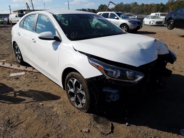 KIA FORTE FE 2019 3kpf24ad1ke116508