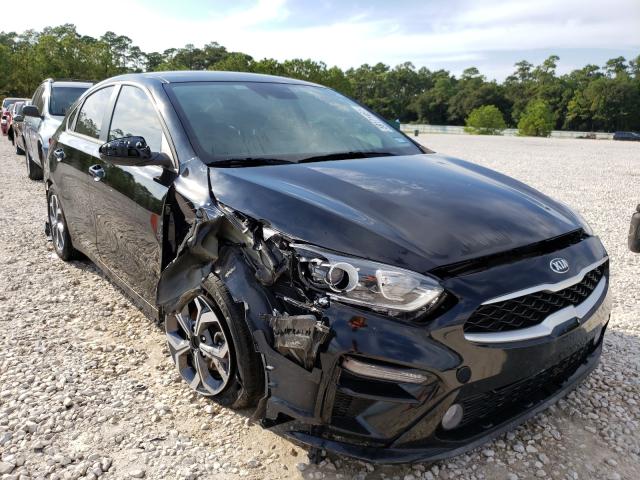 KIA FORTE FE 2019 3kpf24ad1ke120719