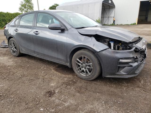 KIA FORTE FE 2019 3kpf24ad1ke121448