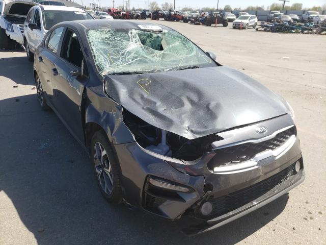 KIA FORTE FE 2019 3kpf24ad1ke125192