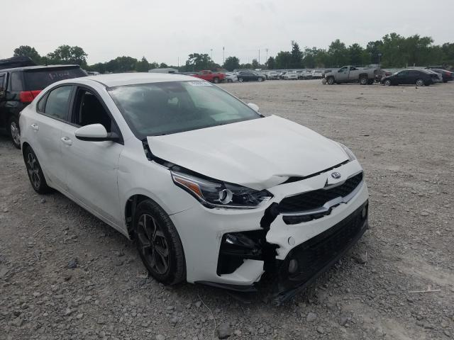 KIA FORTE FE 2019 3kpf24ad1ke125760