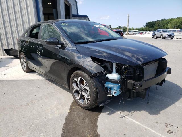 KIA FORTE FE 2019 3kpf24ad1ke133017