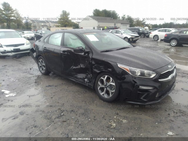 KIA FORTE 2019 3kpf24ad2ke023397