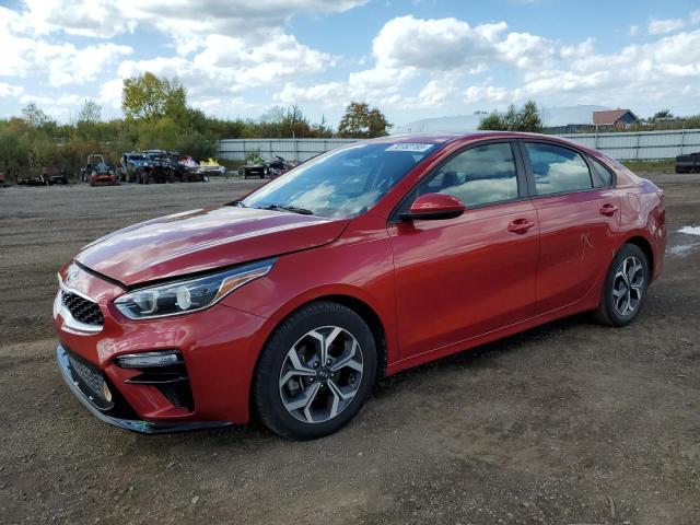 KIA FORTE FE 2019 3kpf24ad2ke061356