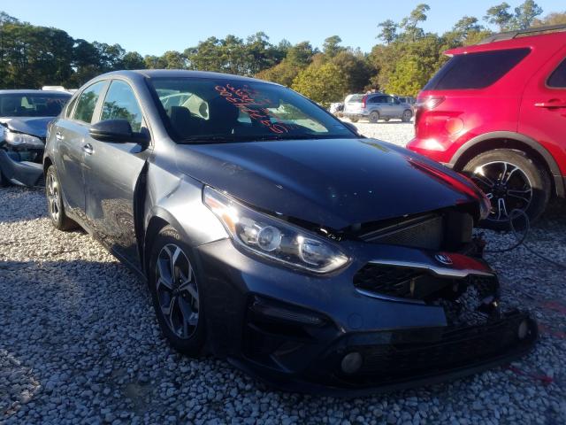 KIA FORTE FE 2019 3kpf24ad2ke076309