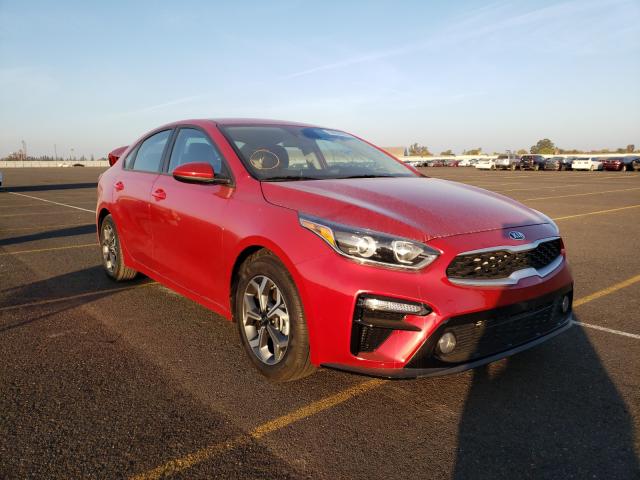 KIA FORTE FE 2019 3kpf24ad2ke083485