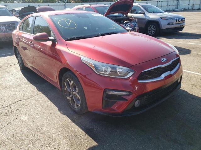 KIA FORTE FE 2019 3kpf24ad2ke096589