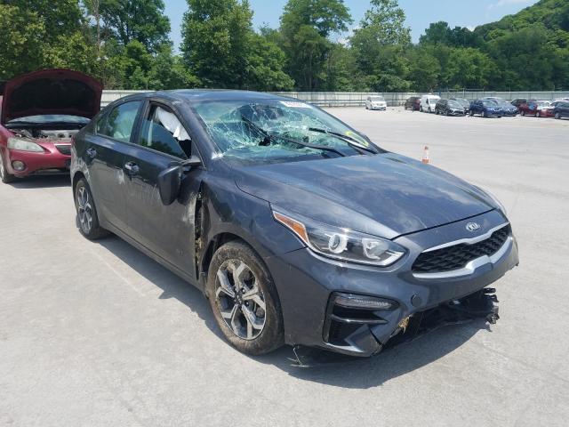 KIA FORTE FE 2019 3kpf24ad2ke098391