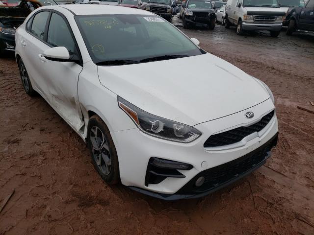 KIA FORTE FE 2019 3kpf24ad2ke098455