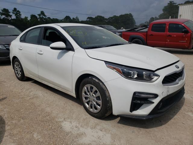 KIA FORTE FE 2019 3kpf24ad2ke105274