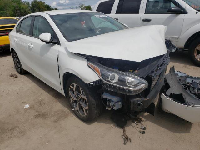 KIA FORTE FE 2019 3kpf24ad2ke105727