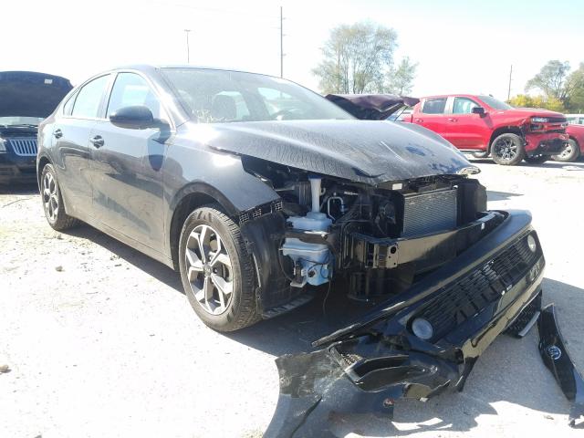 KIA FORTE FE 2019 3kpf24ad2ke108272