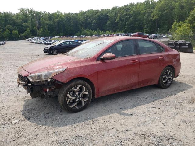 KIA FORTE FE 2019 3kpf24ad2ke117084