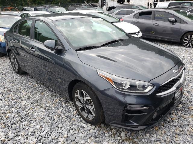 KIA FORTE FE 2019 3kpf24ad2ke131261