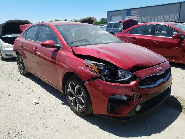 KIA FORTE FE 2019 3kpf24ad2ke137352