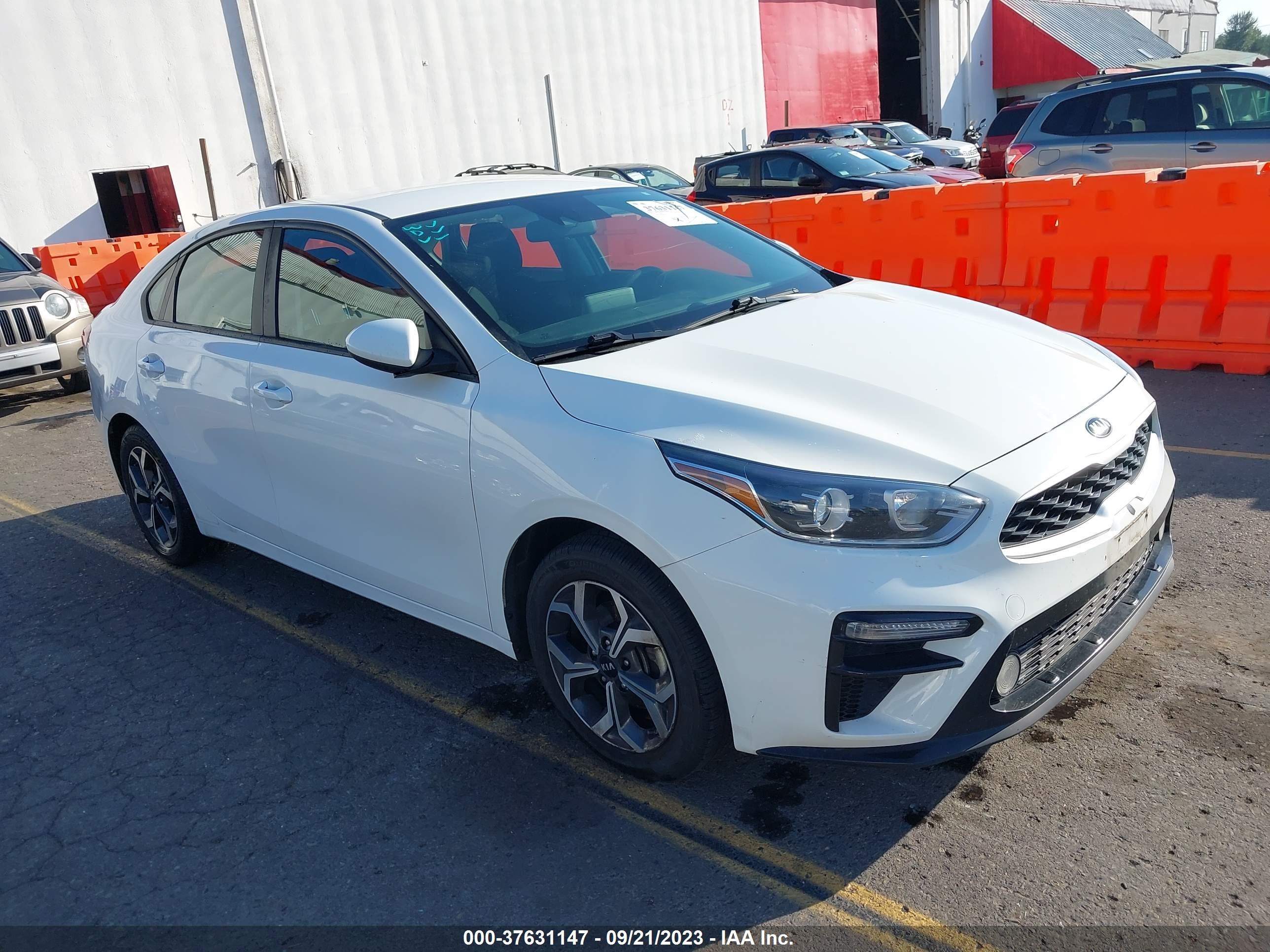 KIA FORTE 2019 3kpf24ad3ke006219