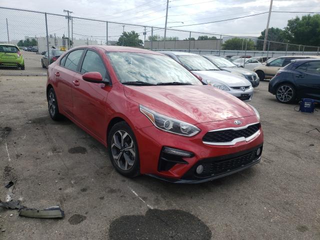 KIA FORTE FE 2019 3kpf24ad3ke008066