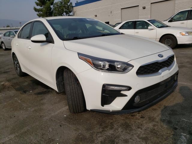 KIA FORTE FE 2019 3kpf24ad3ke011369