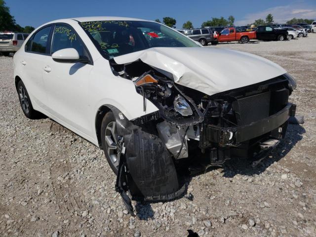 KIA FORTE FE 2019 3kpf24ad3ke032349