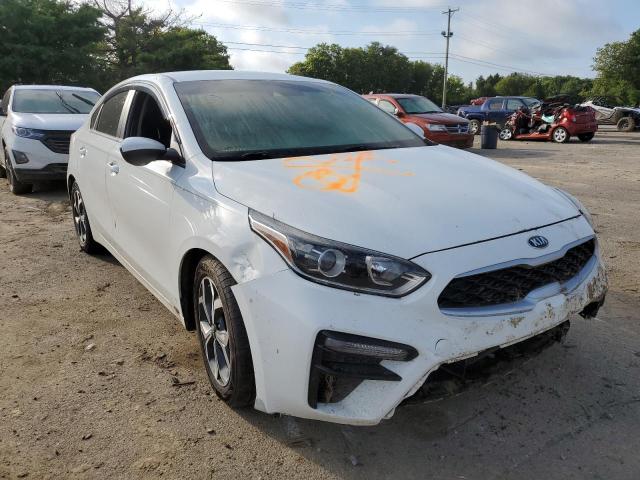 KIA FORTE FE 2019 3kpf24ad3ke049166