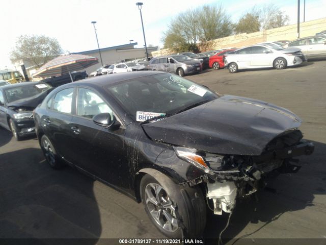 KIA FORTE 2019 3kpf24ad3ke064959