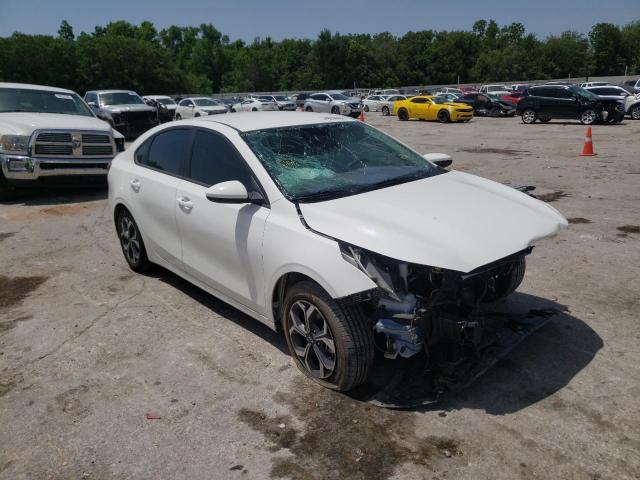 KIA FORTE FE 2019 3kpf24ad3ke076559