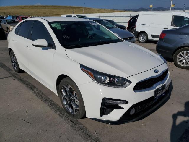 KIA FORTE FE 2019 3kpf24ad3ke077288