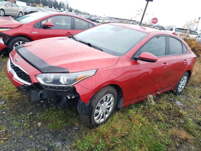 KIA FORTE 2019 3kpf24ad3ke077470