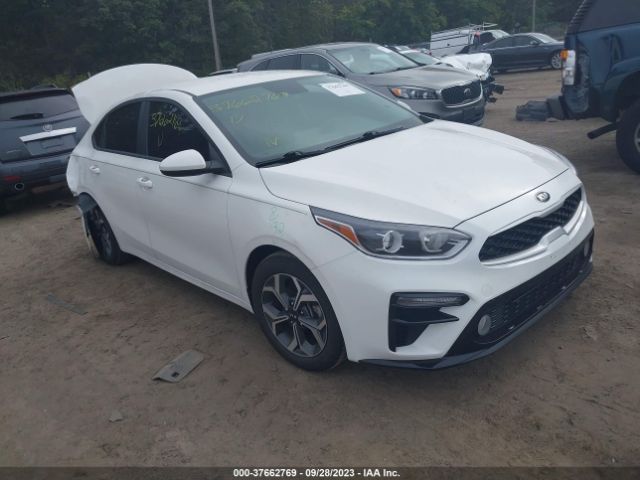 KIA FORTE 2019 3kpf24ad3ke078117