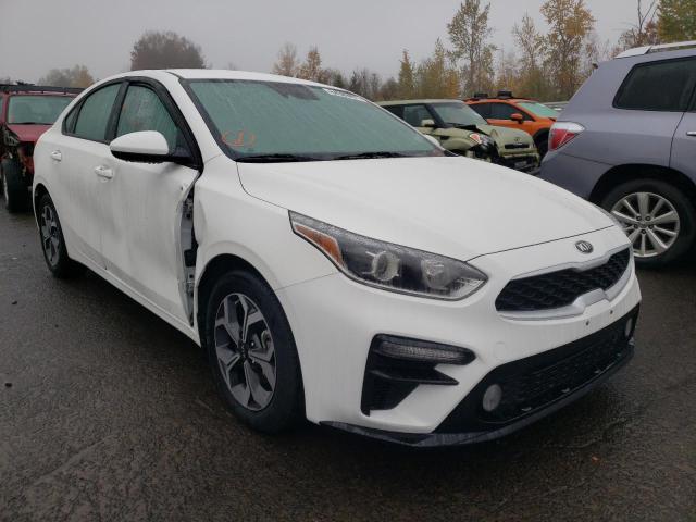 KIA FORTE FE 2019 3kpf24ad3ke080269