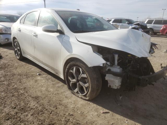 KIA FORTE FE 2019 3kpf24ad3ke089439